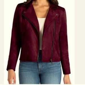 KUT FROM THE CLOTH | Jacket | Quilted Panel Faux Suede Moto  Jacket | Small